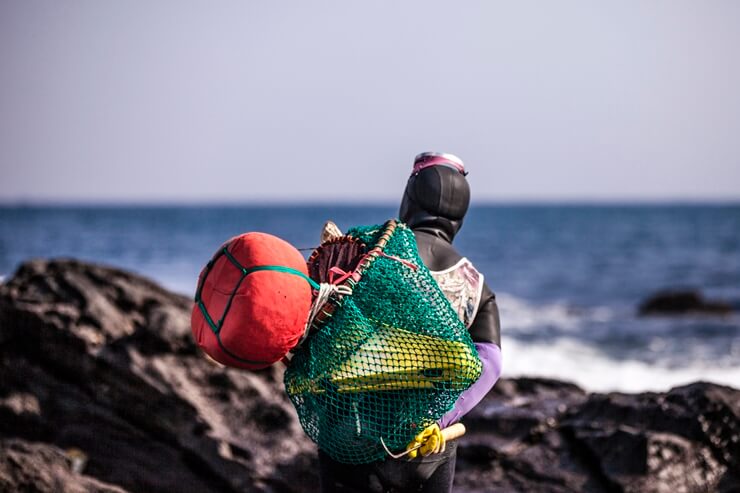 las informaciones de Jeju
He-Nyeo: La mujer de buzo en Jeju