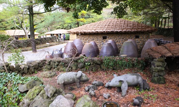 las informaciones de JEJU
Cerdos negros en el pueblo forclórica - jeju