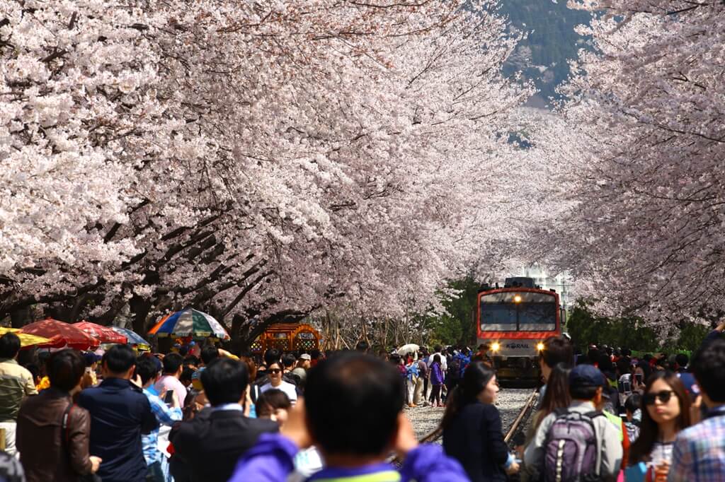 La mejor temporada para viajar a Corea del sur