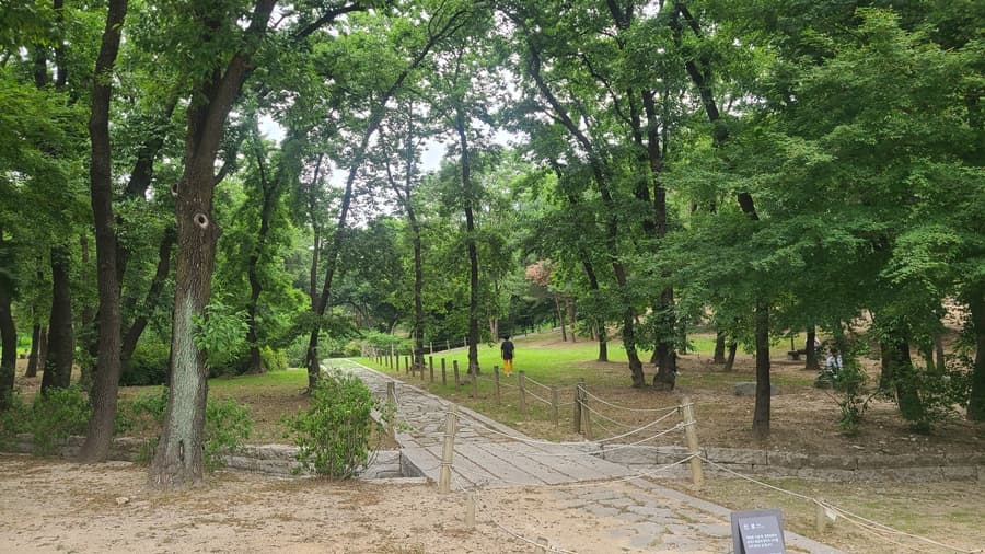 Camino de la naturaleza verde en Gangnam