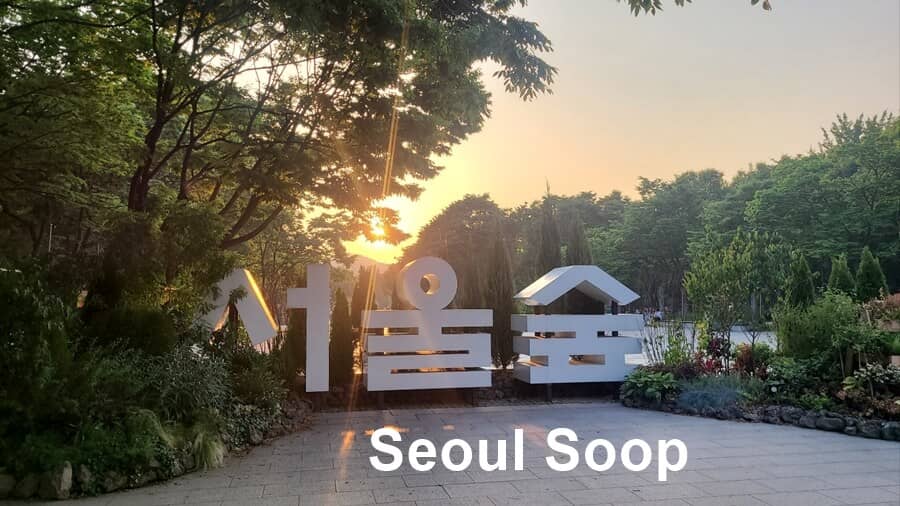 El parque más conocido para extrajeros es Seoul Soop