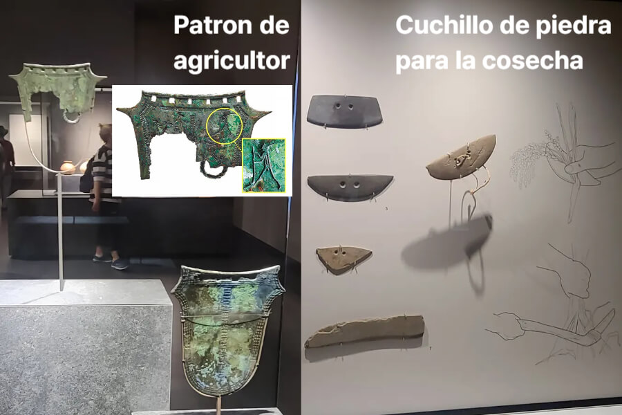 La agricultura de arroz fue muy importante durante la Edad de bronce.