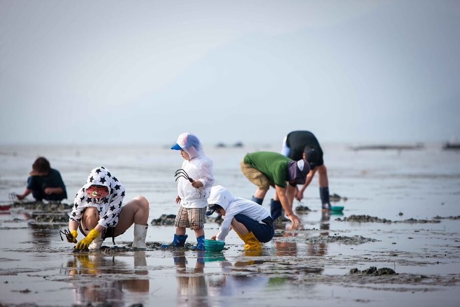 Las marismas son campos de mariscos