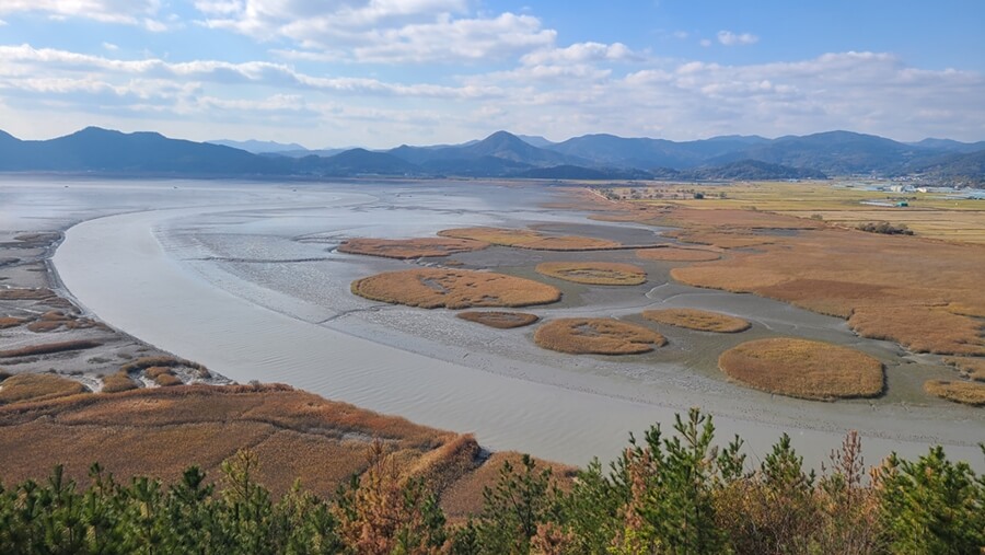 Los humedales de Suncheon son el patrimonio natural de la UNESCO