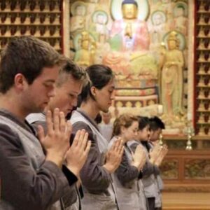 TM02-Estancia de templo budista y Jeonju Hanok village - una noche y dos días